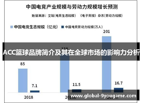 ACC篮球品牌简介及其在全球市场的影响力分析