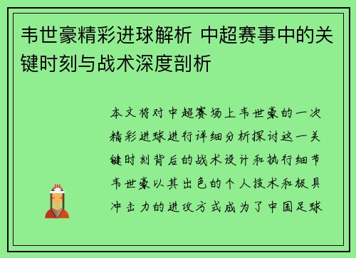 韦世豪精彩进球解析 中超赛事中的关键时刻与战术深度剖析